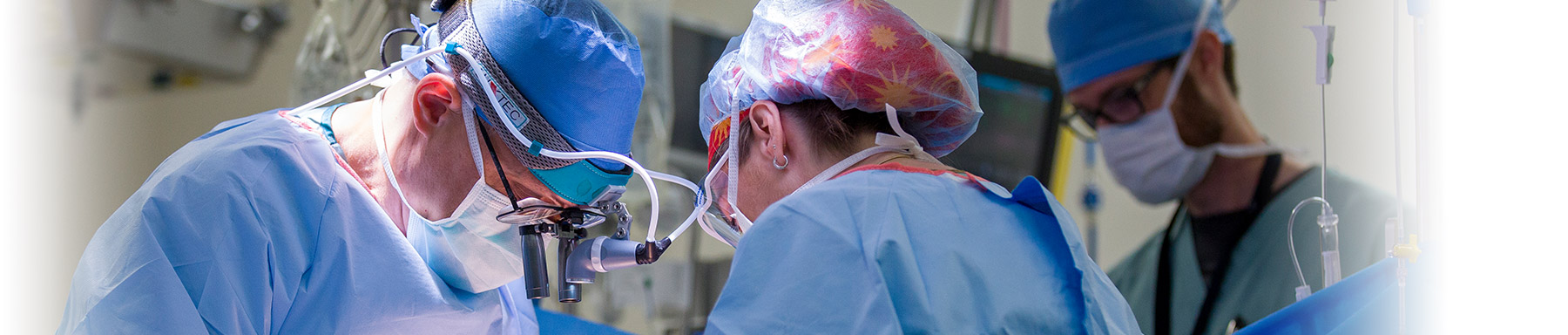 Heart Transplant Program Department home Mayo Clinic