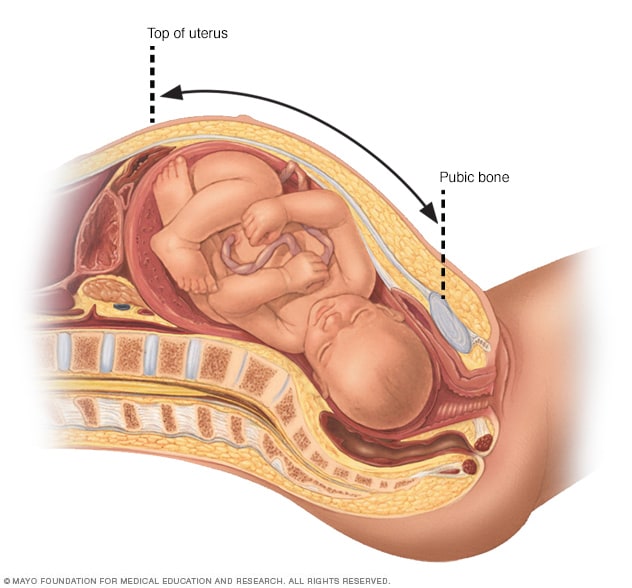 Medición de la altura del fondo uterino durante el embarazo
