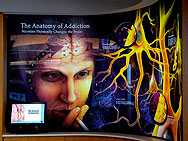 anatomy-addiction-1col.jpg