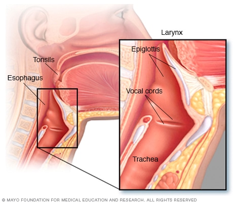 Dry Throat Swallowing 24