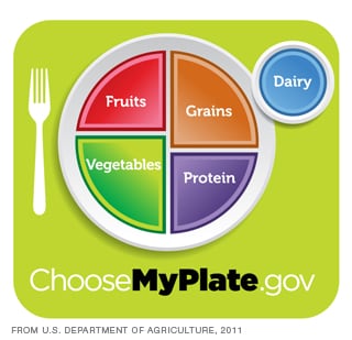 The MyPlate graphic