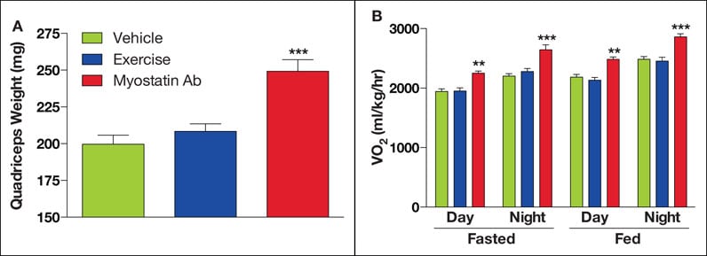 Charts showing outcomes in mice with diet-induced obesity