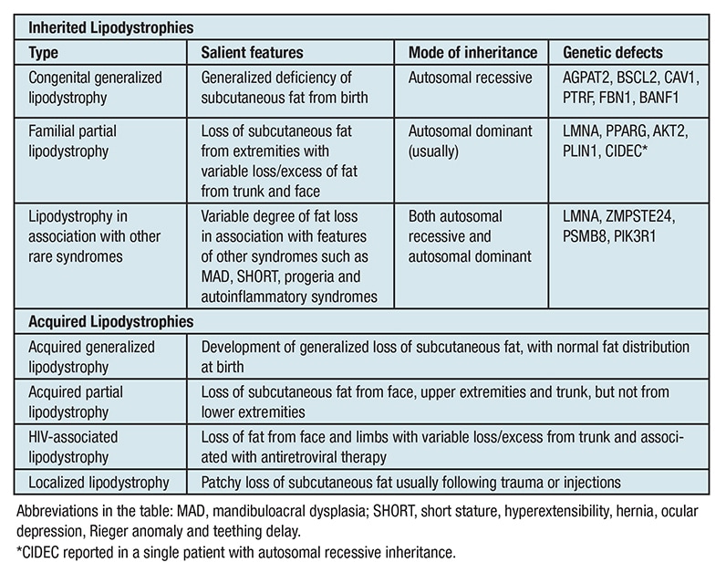 Different lipodystrophy syndromes