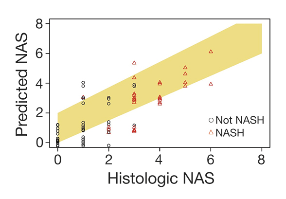 Relative agreement between MRI-based predictive NAS and histologic NAS