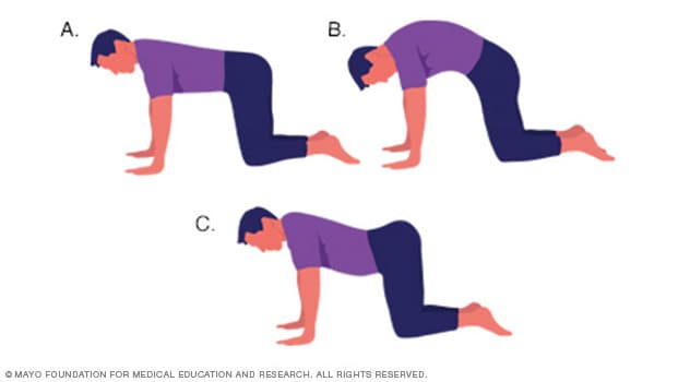 Illustrations of a person practicing cat stretches