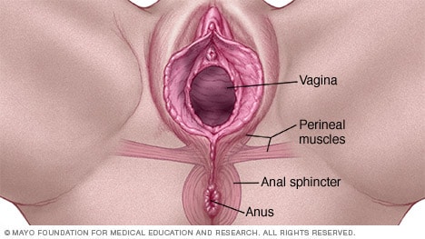 Obstetrics & Gynecology Health Information | Mount Sinai ...