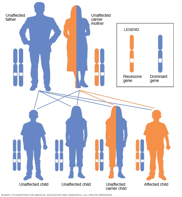 X Linked Recessive Inheritance Pattern With Carrier Mother Mayo Clinic