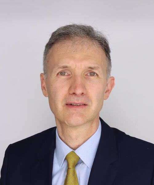 Marius N. Stan