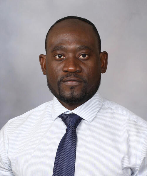 Wale O. Bamidele