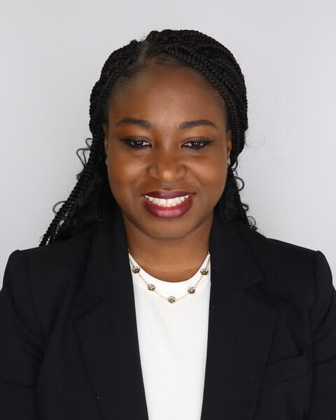 Demilade A. Adedinsewo