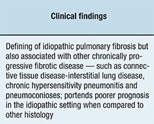 Chart of characterizing features of interstitial pneumonias