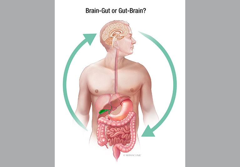 Unraveling the Mysteries of Functional Gut Disorders Unraveling the Mysteries of Functional Gut Disorders