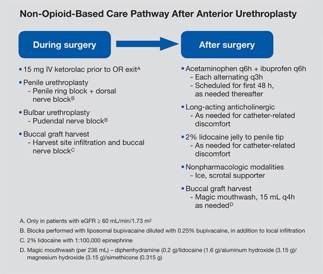 Non-opioid-based care pathway after anterior urethroplasty