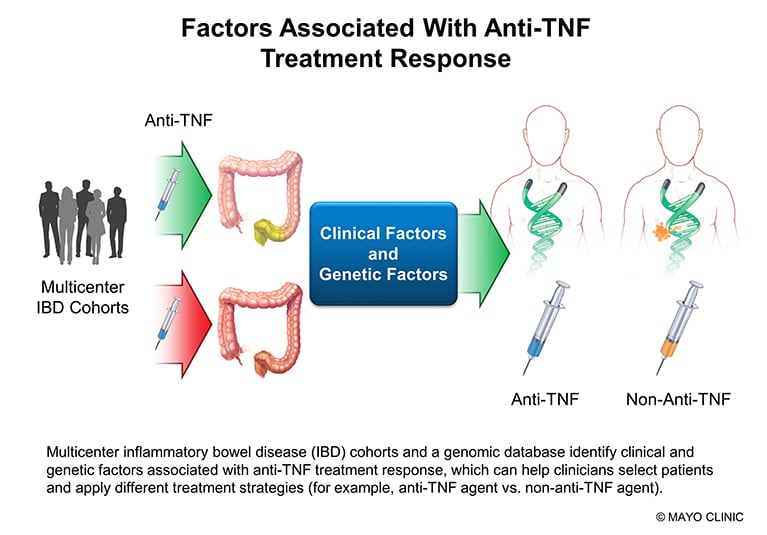 Examining clinical and genetic factors that impact response to anti-TNF