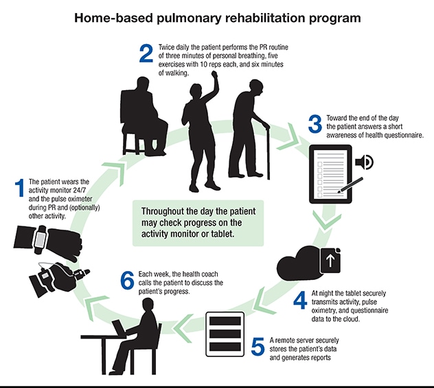 Rehabilitation program elements