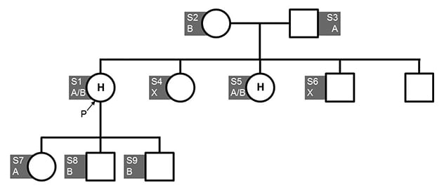 Family tree ENPP1 mutation family pedigree