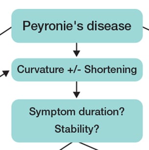 Peyronies (Bent Penis) Condition, How to Treat, Cure& Straighten