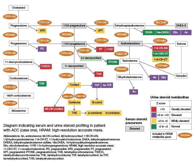 Serum and urine profiling (case 1)