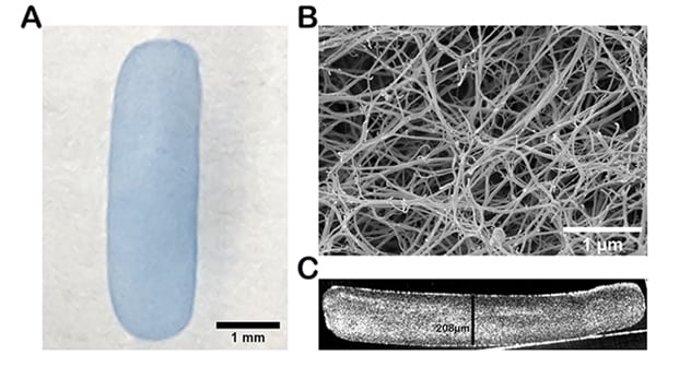 Fibrin hydrogel implant characterization