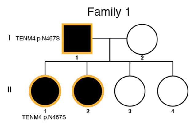 Pedigree information with risk variants