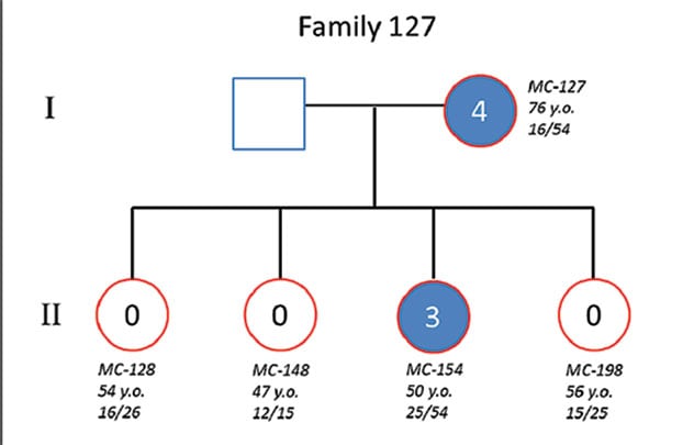 Representative pedigrees of families affected by FECD