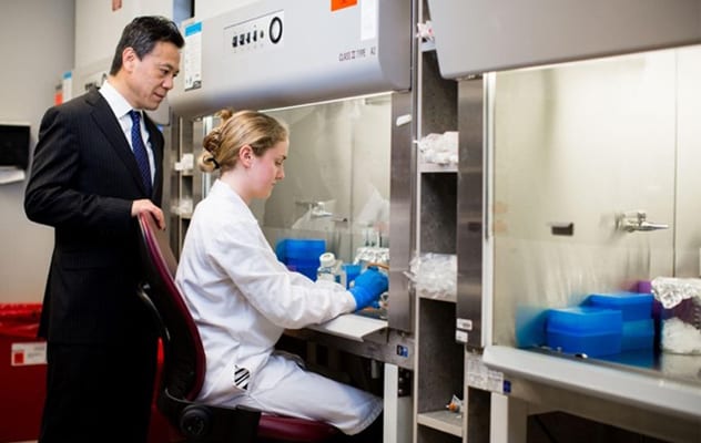 Studying the use of mesenchymal stem cells in the treatment of low back pain