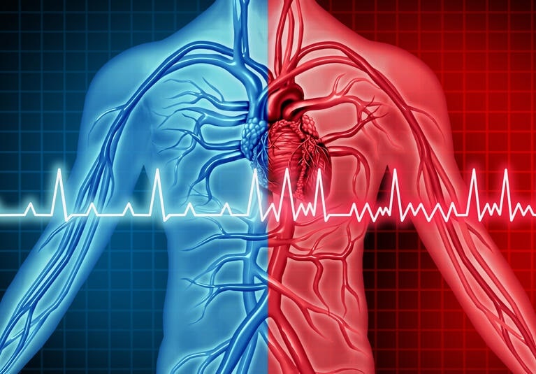 Get a cardiovascular assessment - Body Cardio