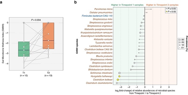 Gut Microbiome Wellness Index