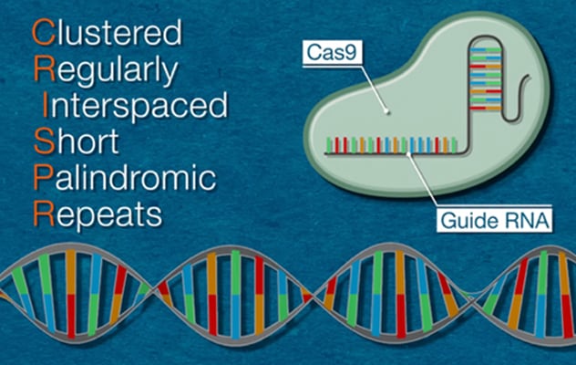 CRISPR Explained