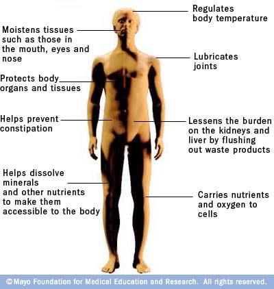 Las funciones del agua en el cuerpo