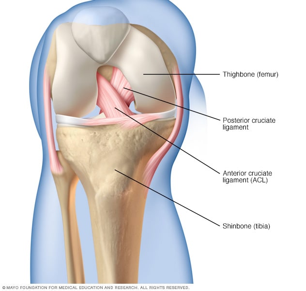 Posterior Cruciate Ligaments Injuries (PCL)
