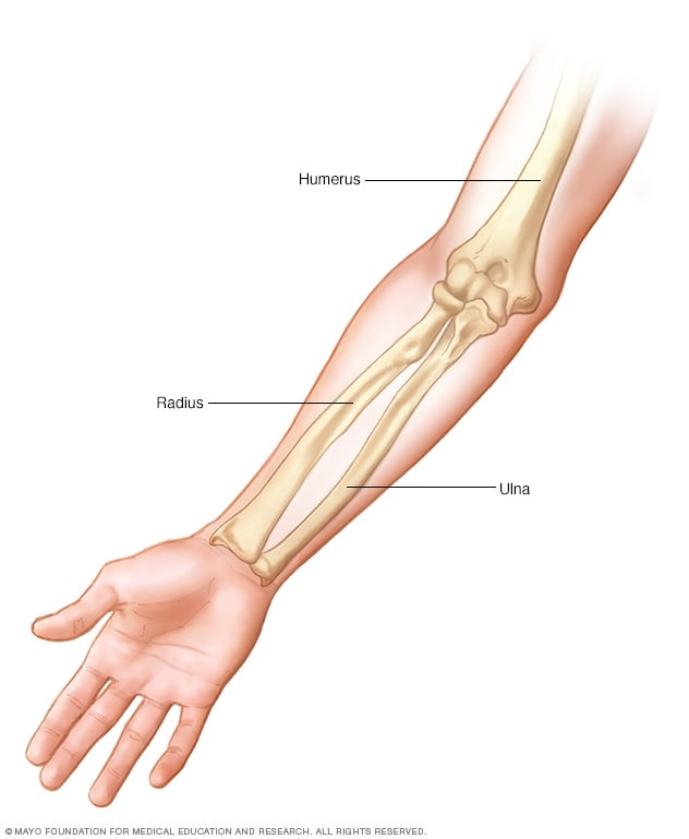 Arm bones - Mayo Clinic