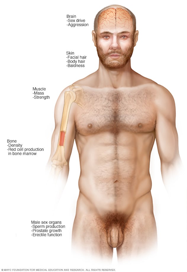 "Testosterone Therapy: The Journey of Starting and Stopping with Confidence"