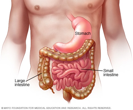Viral gastroenteritis (stomach flu) - Symptoms and causes - Mayo ...
