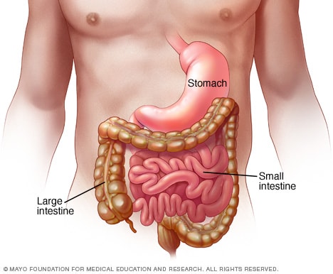 Mild enteritis