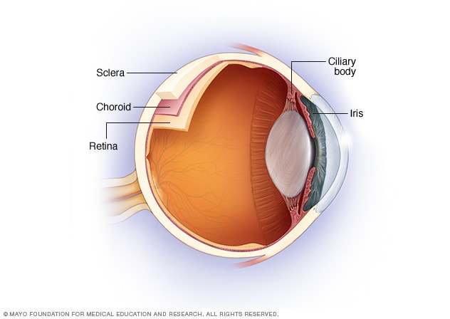 Eye with uvea Mayo Clinic
