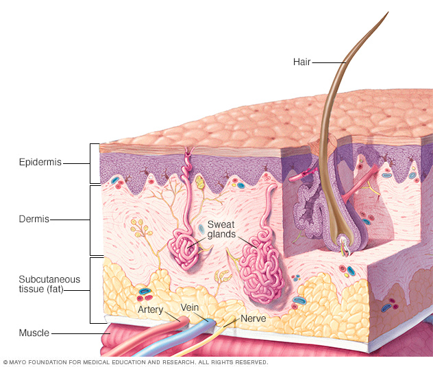 Hair Thinning Treatment - Stop Balding In Its Tracks