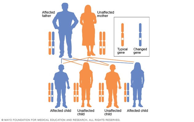 In Autosomal Dominant Inheritance Asp Page