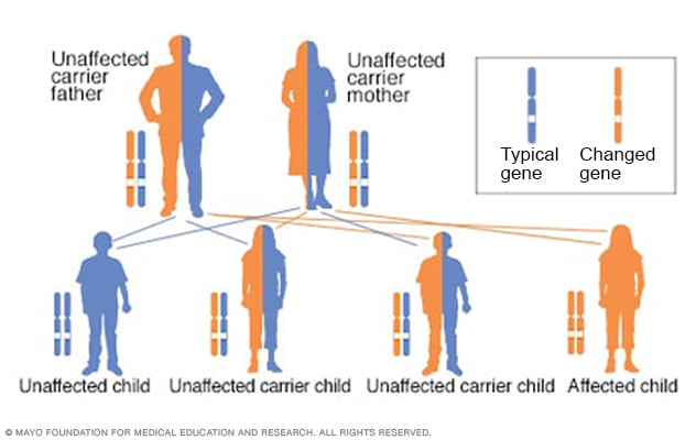 Autosomal recessive inheritance pattern