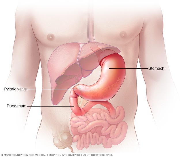 where is gastric pain located