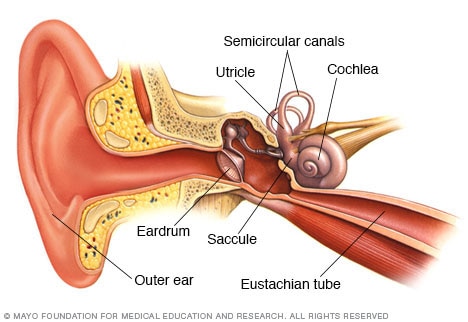 Benign Paroxysmal Positional Vertigo (Bppv) - Symptoms And Causes - Mayo  Clinic