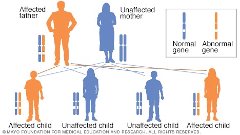 what are the three patterns of inheritance in humans