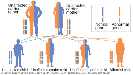 Autosomal recessive inheritance pattern