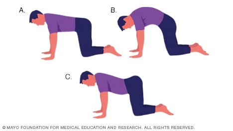Estiramientos para la espalda (y el dolor de espalda)