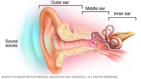 Ear Temperature Conversion Chart