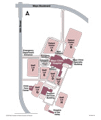 Mayo Clinic Hospital Campus Map