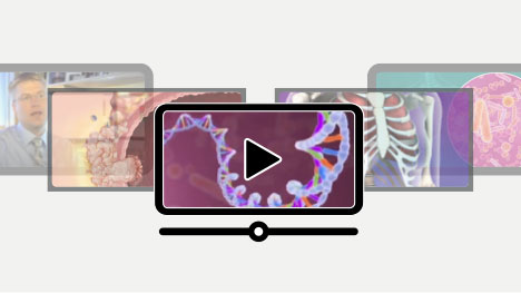 Video Center image