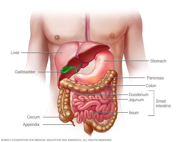 داء كرون - الأعراض والأسباب - Mayo Clinic (مايو كلينك)