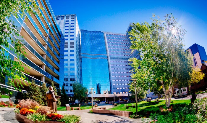 Mayo Clinic in Rochester