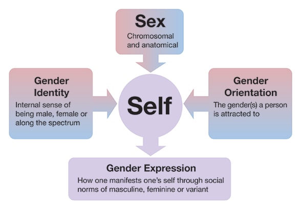 Relationships among sex and gender